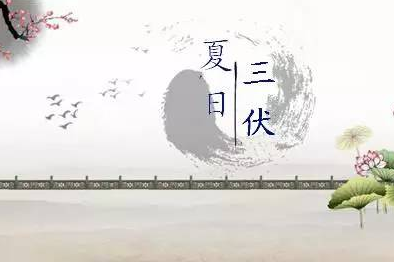 2018三伏天養生怎么做 三伏天吃什么防暑好