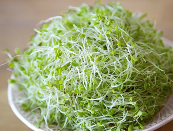 2018小暑吃什么傳統食物 小暑怎么防暑指南