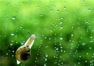 2018小暑天氣熱嗎 小暑節(jié)氣并不等同于暑伏