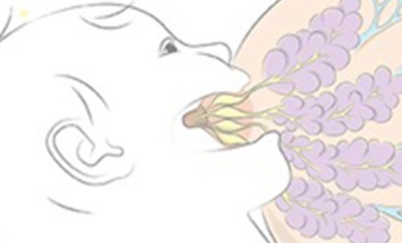 初乳三個早是什么2018 分娩后的初乳怎么做到母乳充足