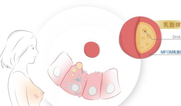 產后乳房不下垂的方法有哪些 產后乳房護理方法2018