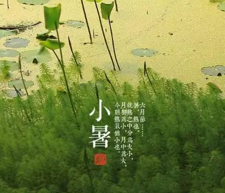 2018小暑是三伏天開始嗎 2018什么時候進伏