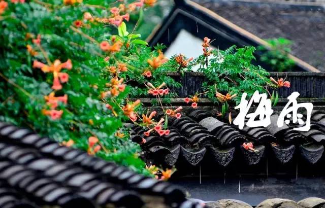 2018梅雨季節在什么時候 梅雨季節要怎么確立呢 2018梅雨季節在什么時候 梅雨季節要怎么確立呢