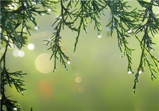 2018入梅時間怎么計算 2018黃梅天是幾號到幾號