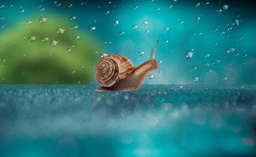 2018入梅時間怎么計算 2018黃梅天是幾號到幾號