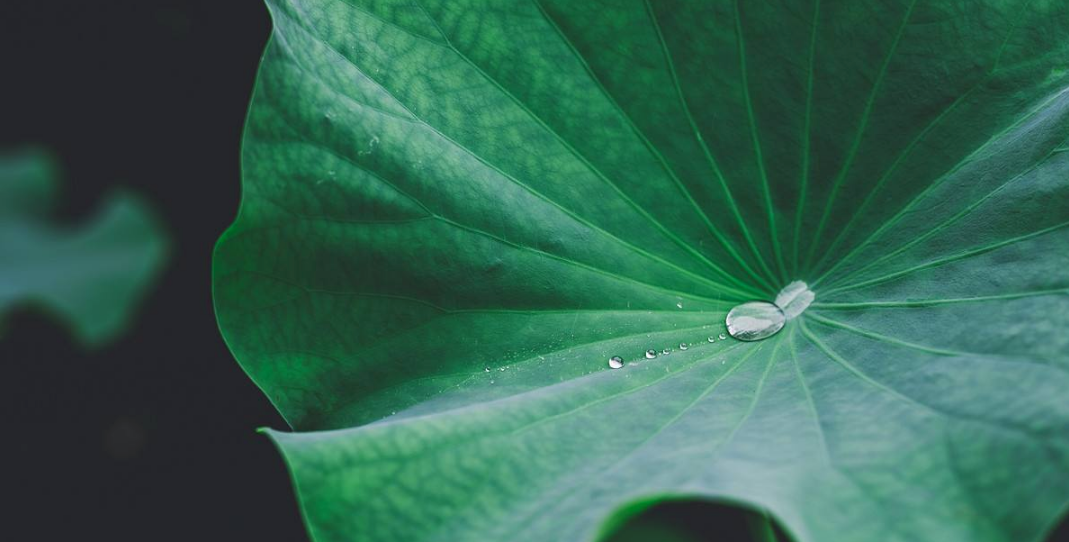 2018入梅時間怎么計算 2018黃梅天是幾號到幾號