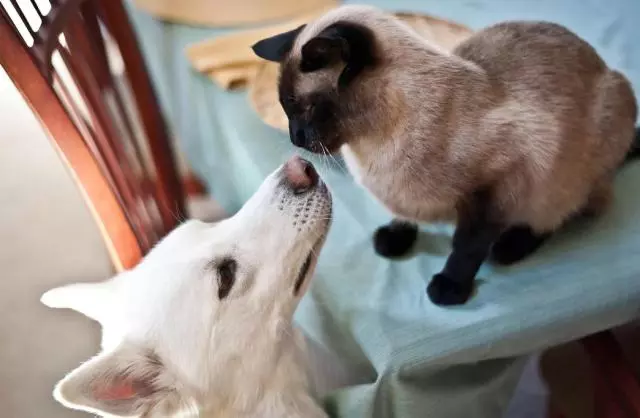 備孕二胎要做哪些準備工作 準媽媽二胎準備工作一覽