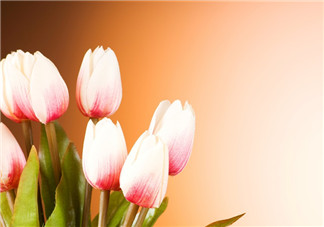 hello July的帶圖心情說(shuō)說(shuō) 2018七月你好帶圖句子短語(yǔ)