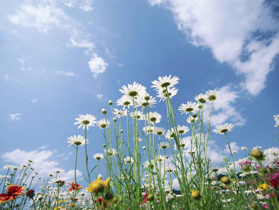 迎接下半年的勵志心情說說 期待下半年激勵正能量句子朋友圈 迎接下半年的勵志心情說說 期待下半年激勵正能量句子朋友圈