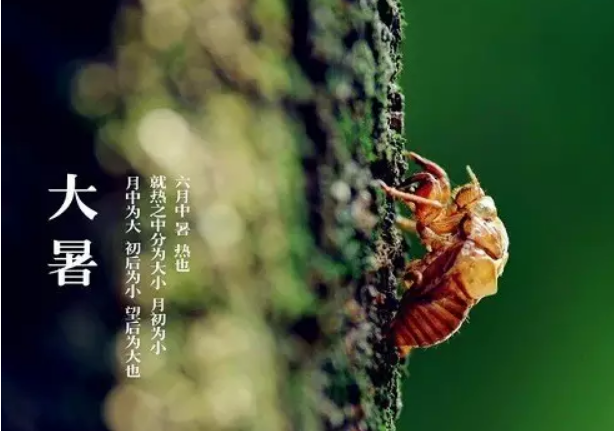 大暑寶寶節氣養生怎么做2018 寶寶大暑節氣吃什么食物好