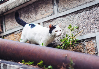 一轉眼半年過去了發朋友圈配文 一轉眼半年過去了圖片說說 一轉眼半年過去了發朋友圈配文 一轉眼半年過去了圖片說說