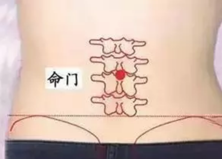 三伏天減肥怎么艾灸 2018三伏天艾灸減肥穴位原理方法