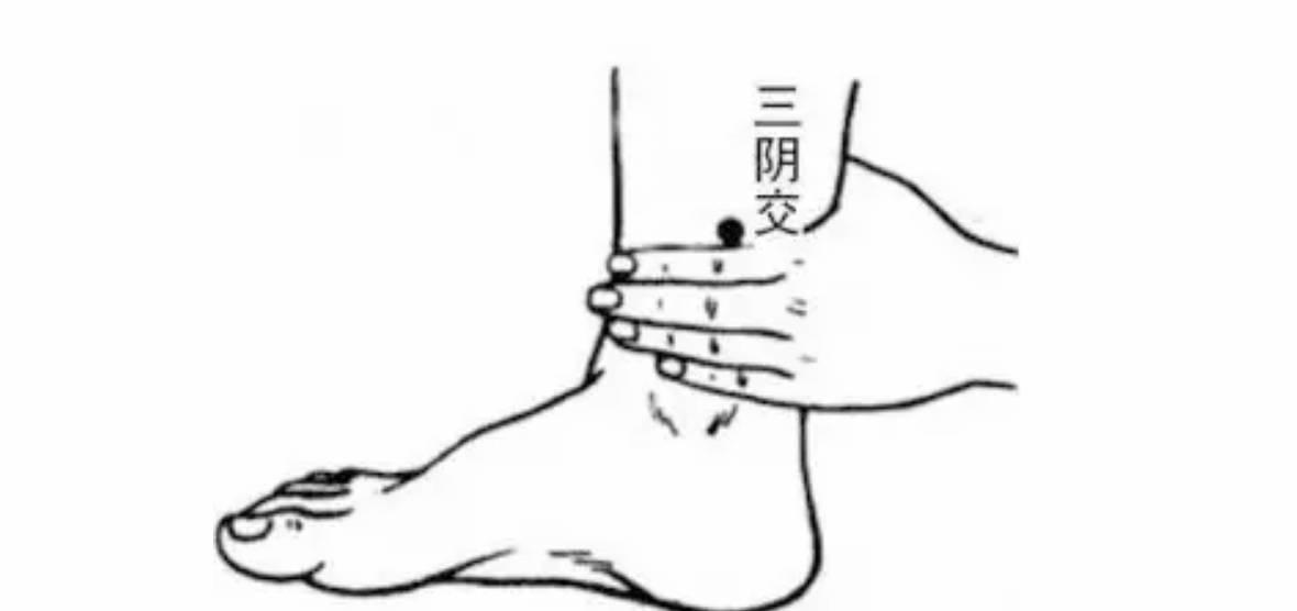 三伏天減肥怎么艾灸 2018三伏天艾灸減肥穴位原理方法