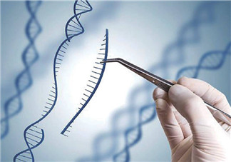 人工授精的促排卵和試管嬰兒一樣嗎 人工授精的促排卵和試管嬰兒區(qū)別