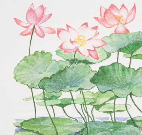 2018小暑大暑是什么時候 怎么給孩子講小暑大暑的含義