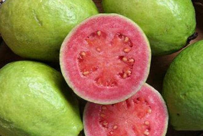 孕婦可以吃番石榴嗎 孕婦吃番石榴有哪些好處2018