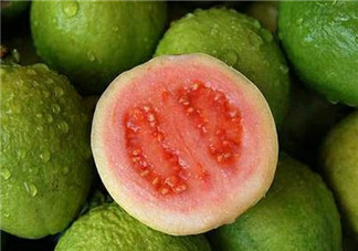 孕婦可以吃番石榴嗎 孕婦吃番石榴有哪些好處2018