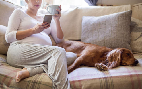 骨盆大小會(huì)影響分娩嗎 生孩子跟屁股大小有關(guān)系嗎