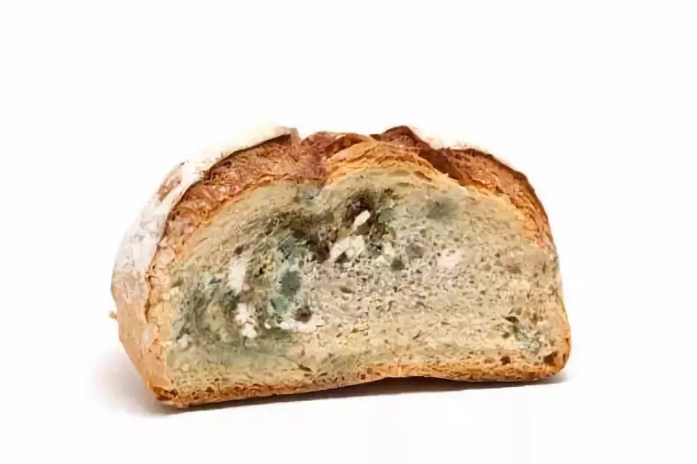 如何在夏天預防食物中毒 孩子夏天吃什么不會食物中毒2018 如何在夏天預防食物中毒 孩子夏天吃什么不會食物中毒2018