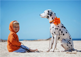 新生兒和狗狗能夠共處嗎 狗狗對新生兒有影響嗎