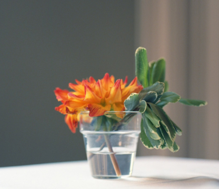 婆婆偏心的心情說說 婆婆偏心失望的說說的句子