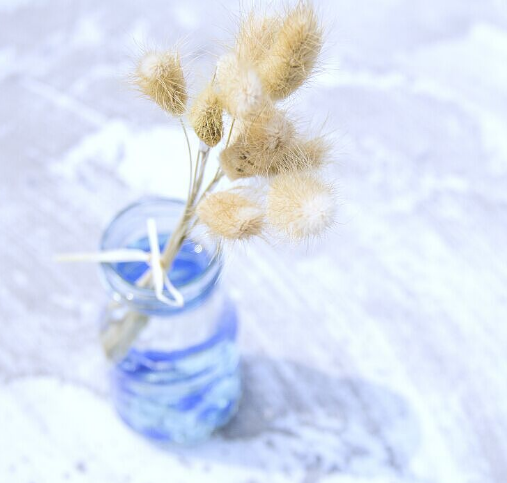 婆婆偏心的心情說說 婆婆偏心失望的說說的句子