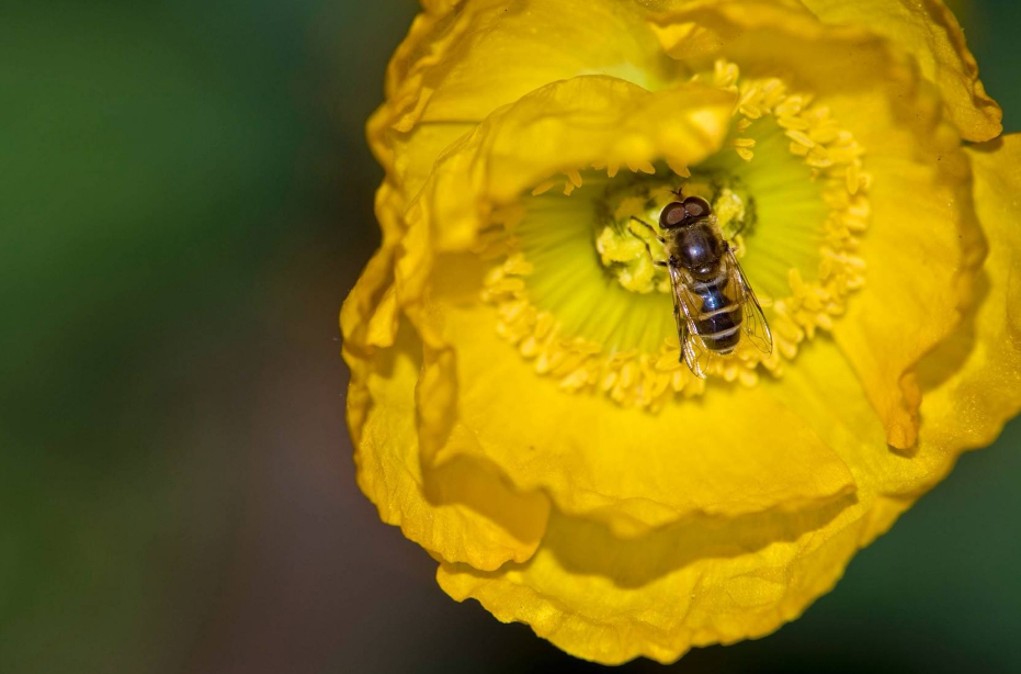 怎么培養(yǎng)孩子的上進心 孩子對學(xué)習沒有上進心怎么辦