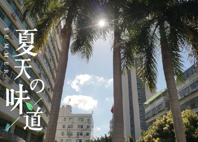 盛夏聽蟬鳴的說說句子圖片 描寫蟬鳴的唯美句子心情