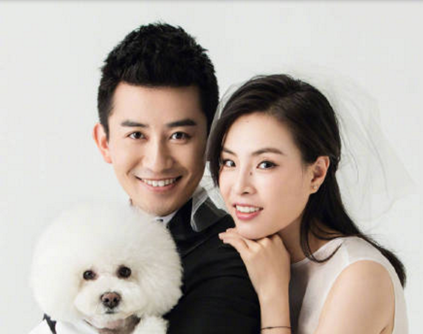 吳敏霞懷孕幾個(gè)月了 吳敏霞懷的男孩還是女孩