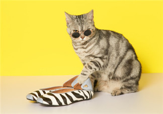 夏天午后好困的心情說說 夏天到了每天都好困的句子感慨