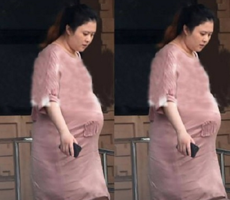 沈騰老婆懷的是雙胞胎嗎 沈騰老婆是誰