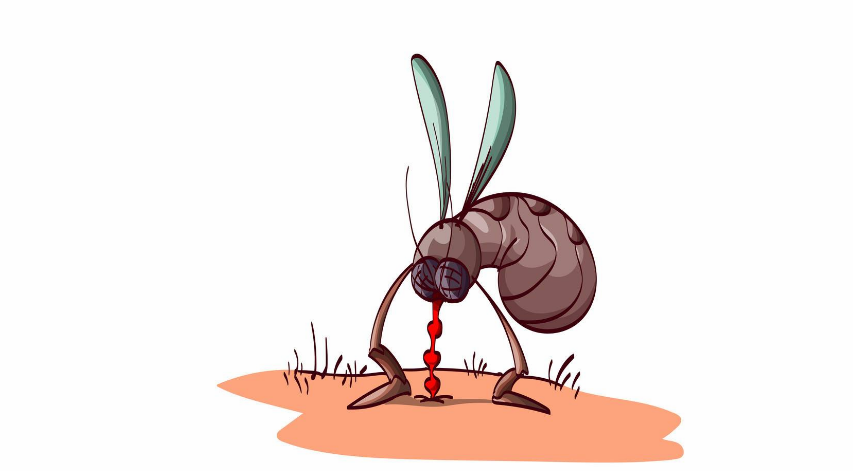 驅(qū)蚊用物理還是化學(xué)方法好 防蚊用品怎么使用