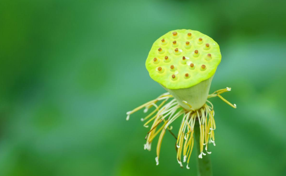 三伏天吃什么最好 三伏天天太熱了要注意什么2018
