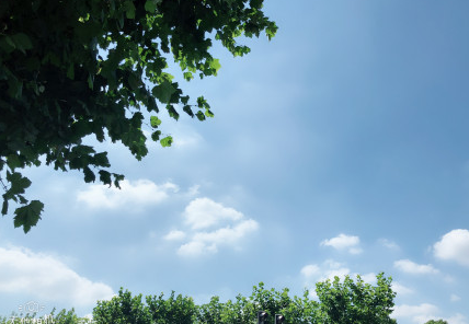 2018入伏第一天發朋友圈配文 入伏第一天說說圖片