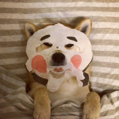 三伏天感冒怎么發朋友圈配文字 三伏天感冒的心情說說 