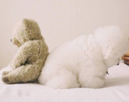 三伏天感冒怎么發朋友圈配文字 三伏天感冒的心情說說 