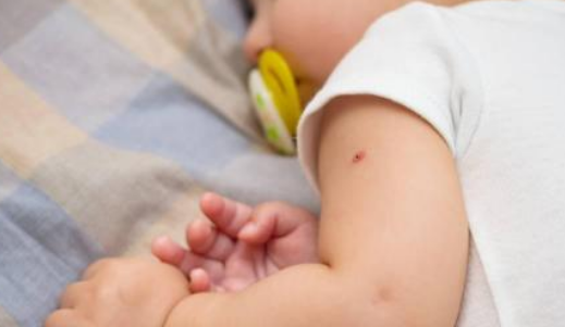 打了假疫苗會怎么樣2018 打了問題百白破假疫苗怎么補救