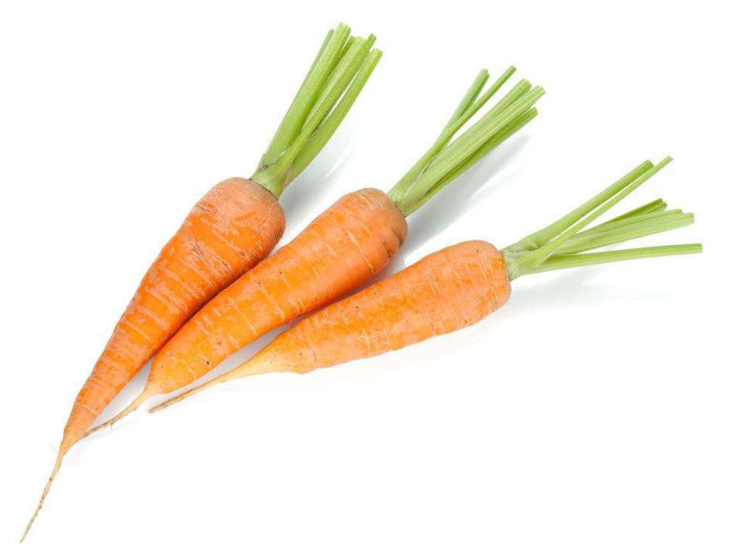 胡蘿卜吃多了不來月經是真的嗎 備孕期間胡蘿卜怎么吃比較好