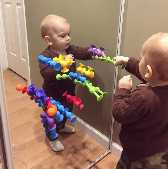 吸吸樂(lè)玩具怎么玩比較好 吸吸樂(lè)玩具玩法 吸吸樂(lè)玩具怎么玩比較好 吸吸樂(lè)玩具玩法