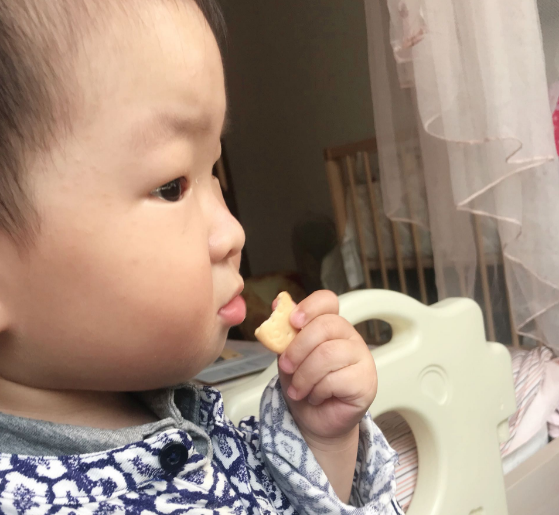 亨氏趣味餅干寶寶喜歡嗎 亨氏趣味餅適合多大的寶寶 亨氏趣味餅干寶寶喜歡嗎 亨氏趣味餅適合多大的寶寶