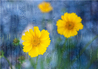 八月來了的勵志正能量心情句子 2018到八月了的圖片感慨說說