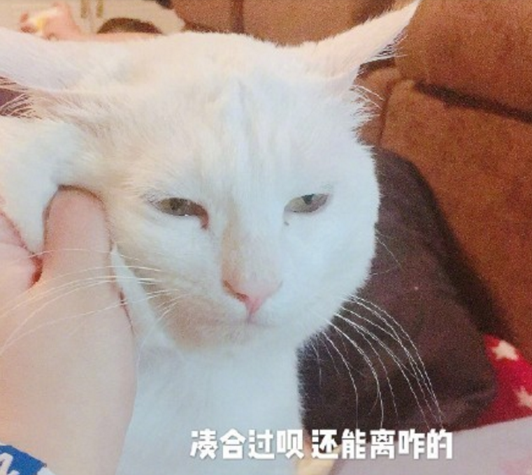 丈夫重男輕女逼生三胎怎么回事 連生2女后被逼再生娃氣到報(bào)警