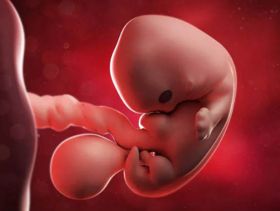 試管嬰兒宮外孕的癥狀 試管嬰兒宮外孕還能繼續(xù)懷孕嗎