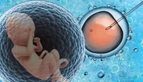 試管嬰兒移植后出現嘔吐正常嗎 試管嬰兒移植后出現嘔吐怎么辦