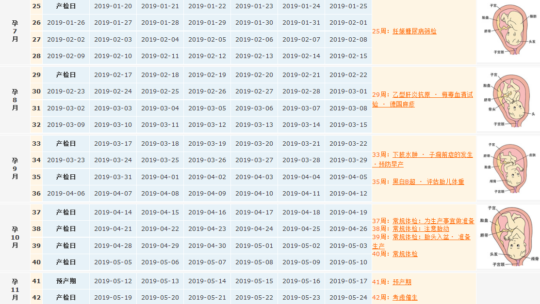 2018末次月經8月4日預產期是什么時候 月經不調怎么算預產期