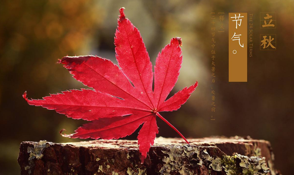 2018今日立秋帶圖心情說說 今天是立秋的配圖短語句子