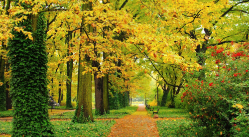 2018秋天你好發說說短語 你好秋天的圖片句子心情感慨