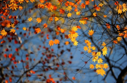 再見夏天的句子心情 2018秋天來了再見夏天的圖片心情短語