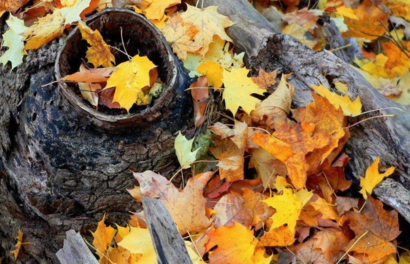 三伏天熱還是秋老虎熱 2018秋老虎有多少天