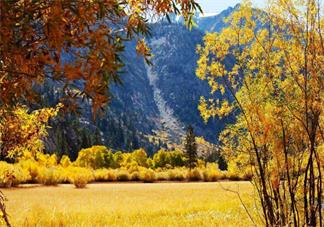 嗨秋天心情感慨 嗨秋天說(shuō)說(shuō)朋友圈2018